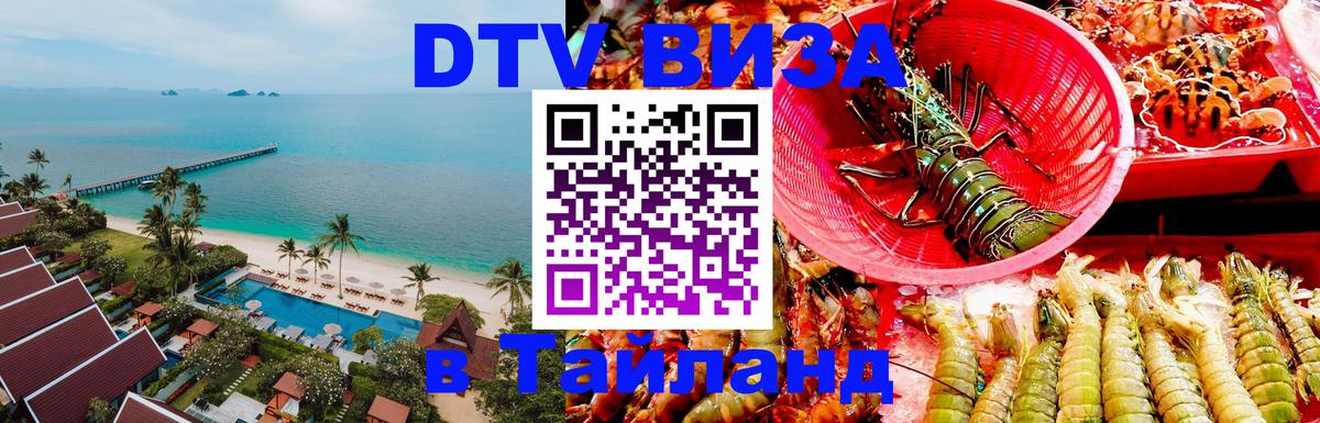 Сколько стоит DTV виза — актуальные цены, оформление даже без документов - Энгельс  22.11.2025 